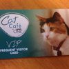 Finally, A Cat Café VIP Pass For NYC's Pop-Up Cat Café